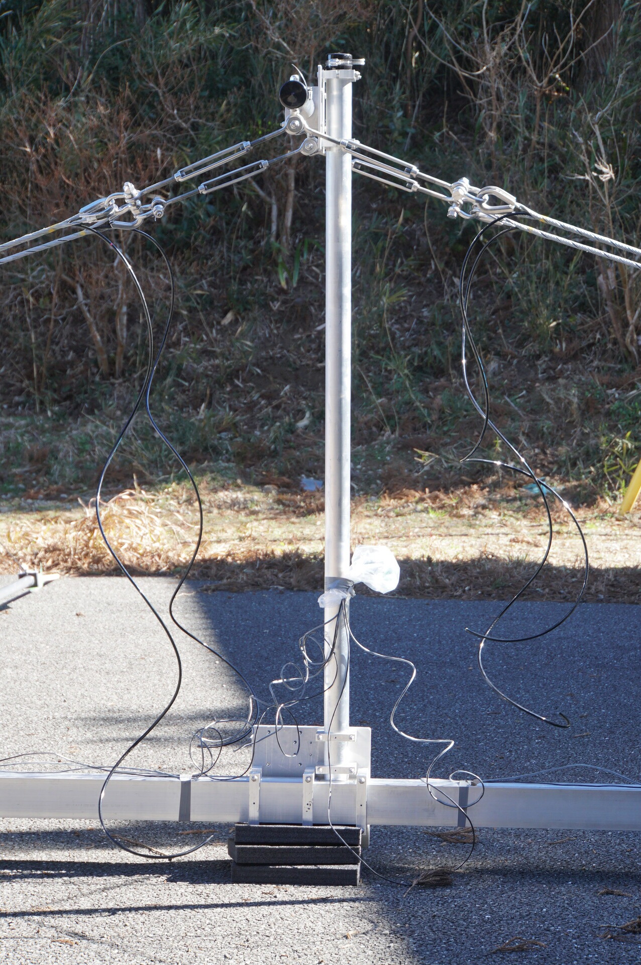 Image 27: 20250125mast-tate.jpg