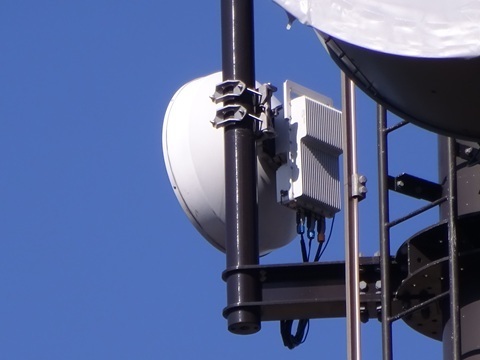 Image 4: 20251214_20251130nuvo-branch.jpg