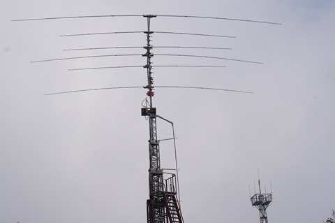 Image 28: 202600208another-yagi.jpg