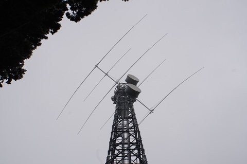 Image 12: 20260208yagi1.jpg