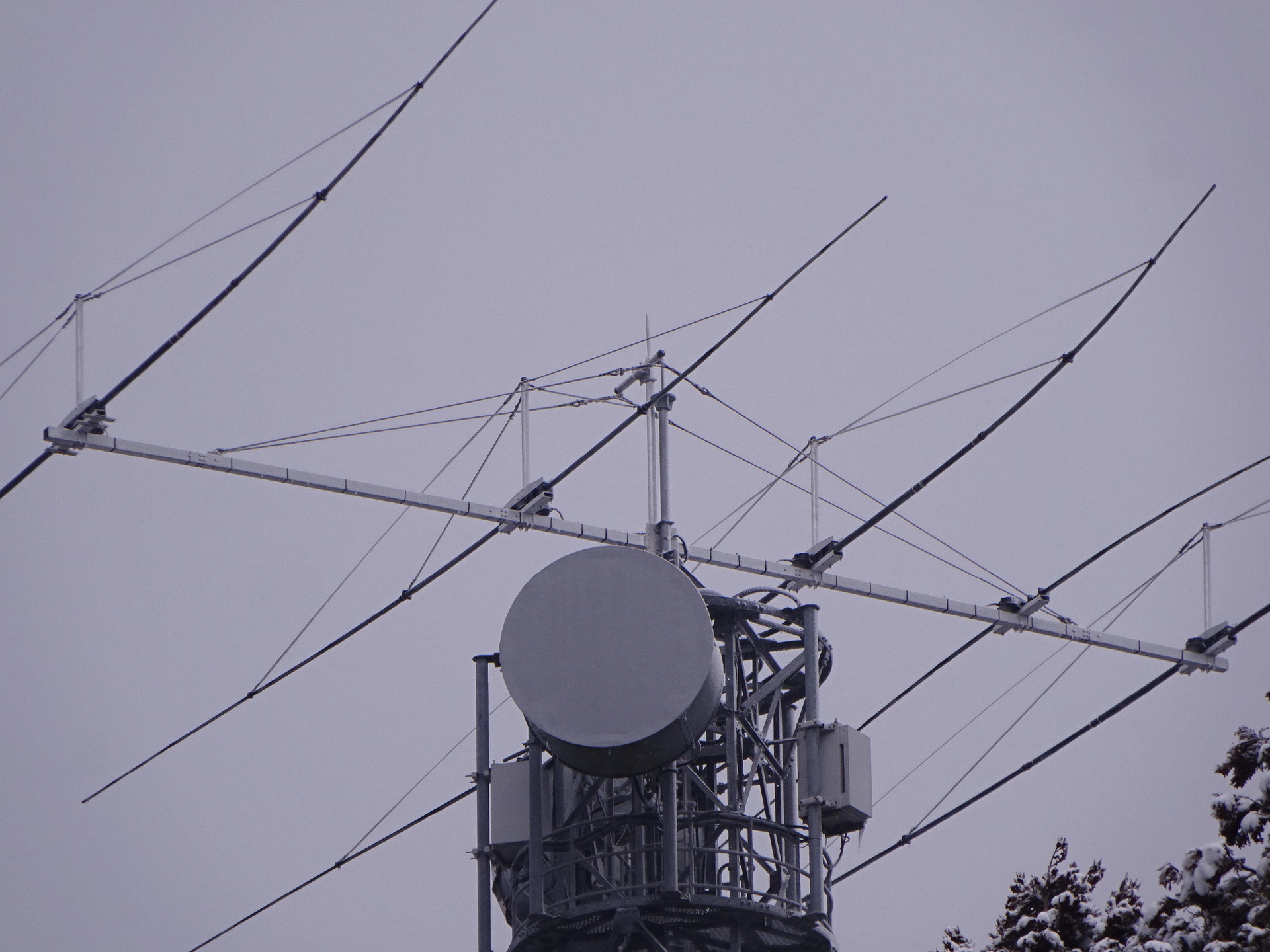 Image 18: 20270208mount.jpg
