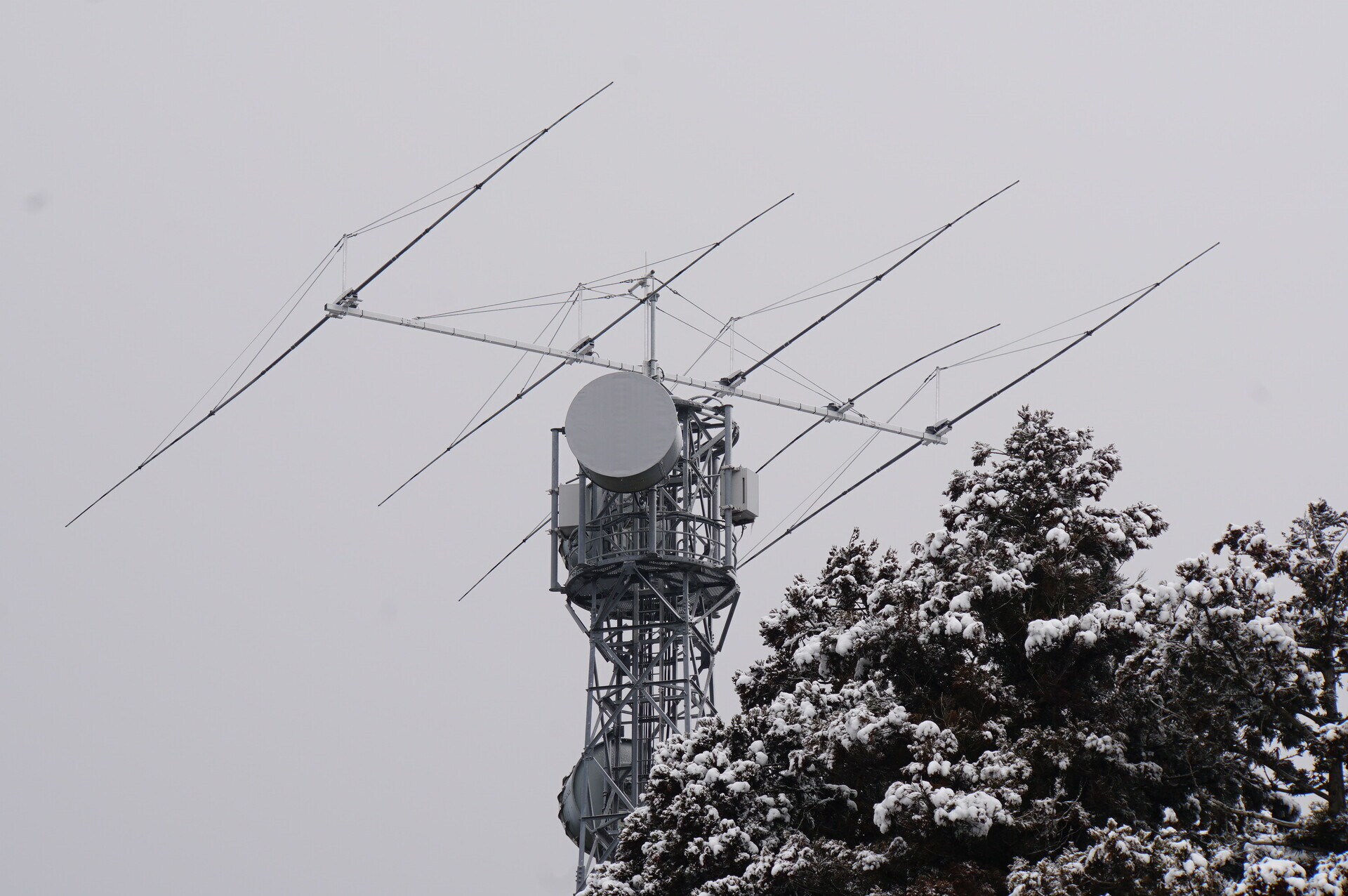 Image 17: 20280208yagi-south.jpg