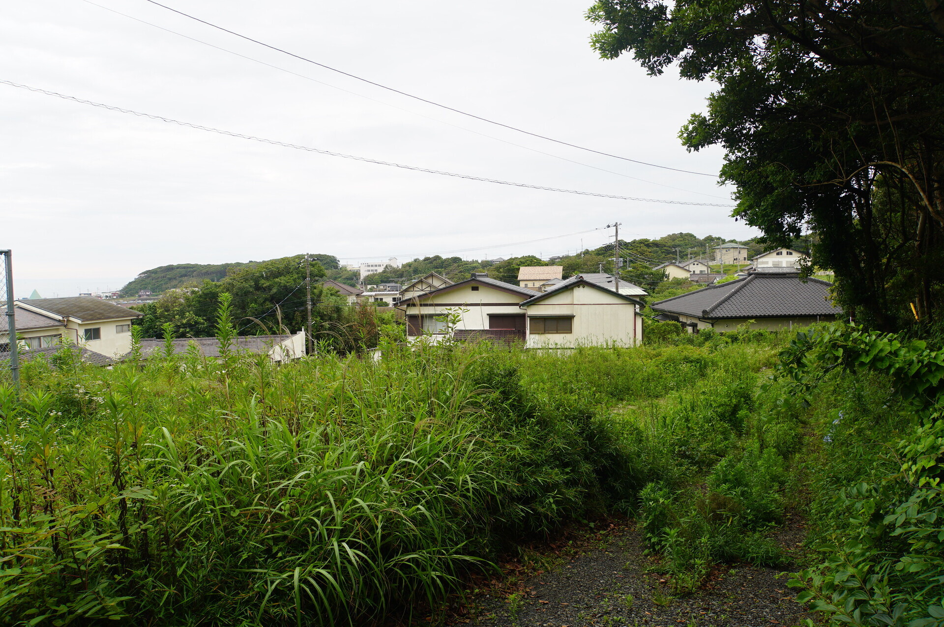 Image 28: 20260628hbc-ajigaura-facility4.jpg