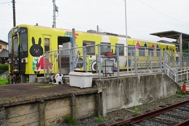 Image 36: 20260628tensen-ajigaura-train.jpg