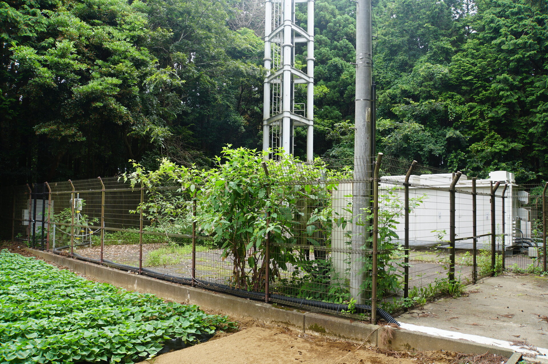 Image 34: 20260711sawajiri-lot.jpg