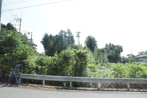 Image 16: 20260720tower-c1.jpg
