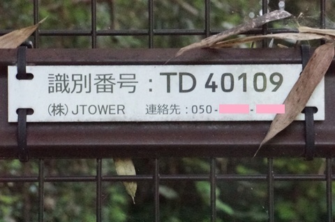 Image 18: 20260720tower-c2.jpg