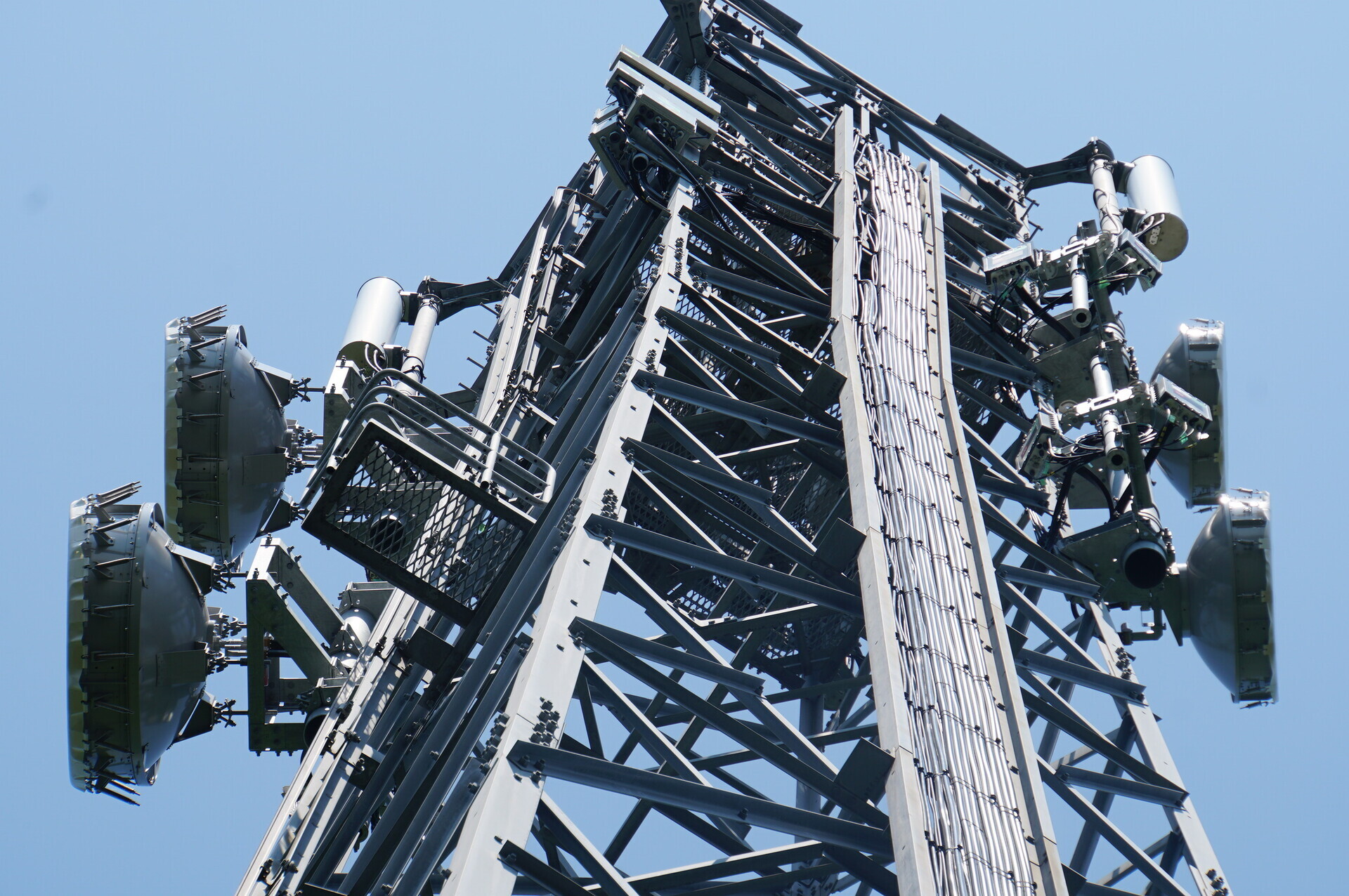Image 30: 20260720tower-d-ant.jpg