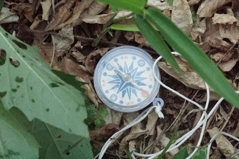 Image 38: 20260720tower-d-compass-ne.jpg