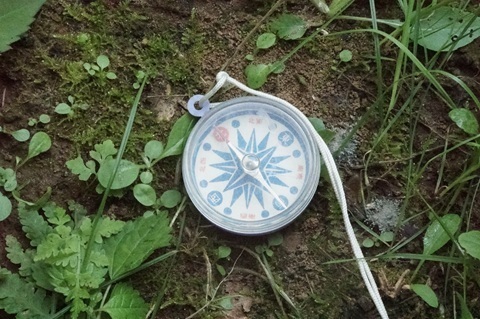 Image 40: 20260720tower-d-compass-sw.jpg