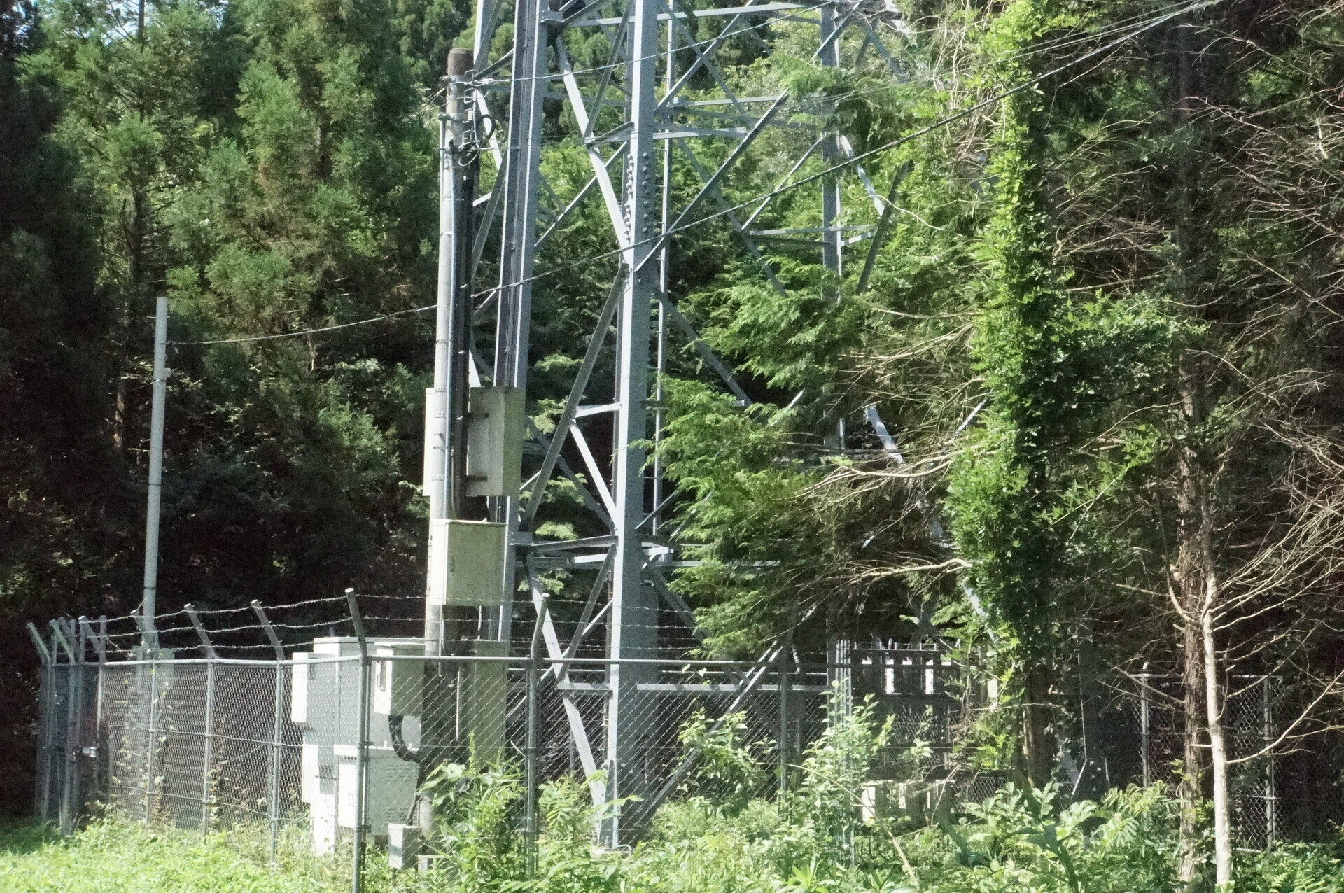 Image 25: 20260720tower-d-facility.jpg