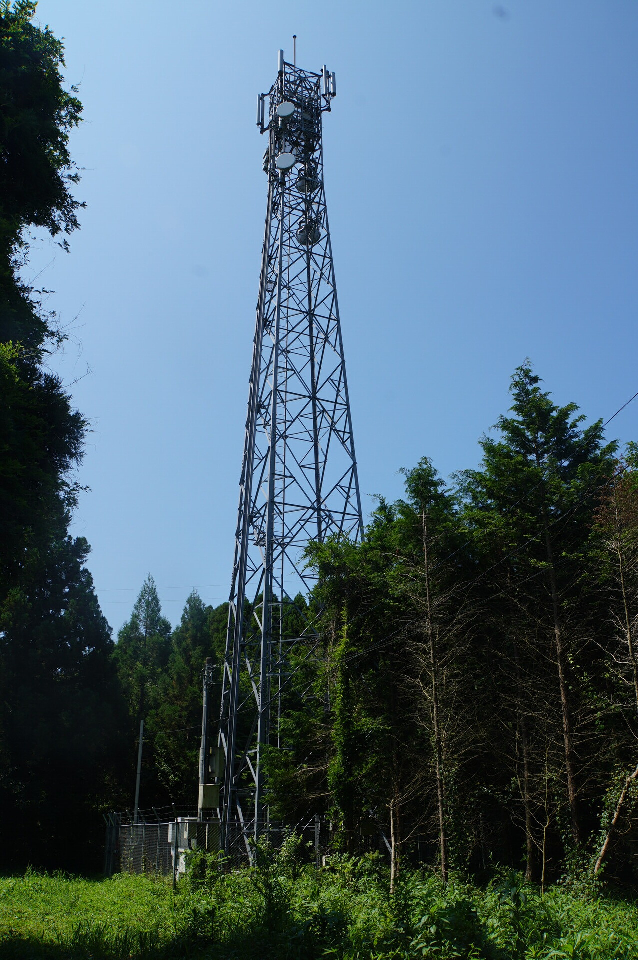 Image 24: 20260720tower-d-view.jpg