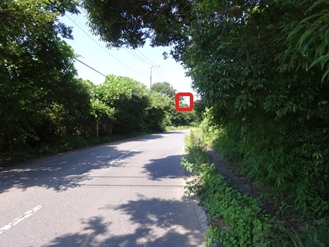 Image 20: 20260720tower-d1.jpg