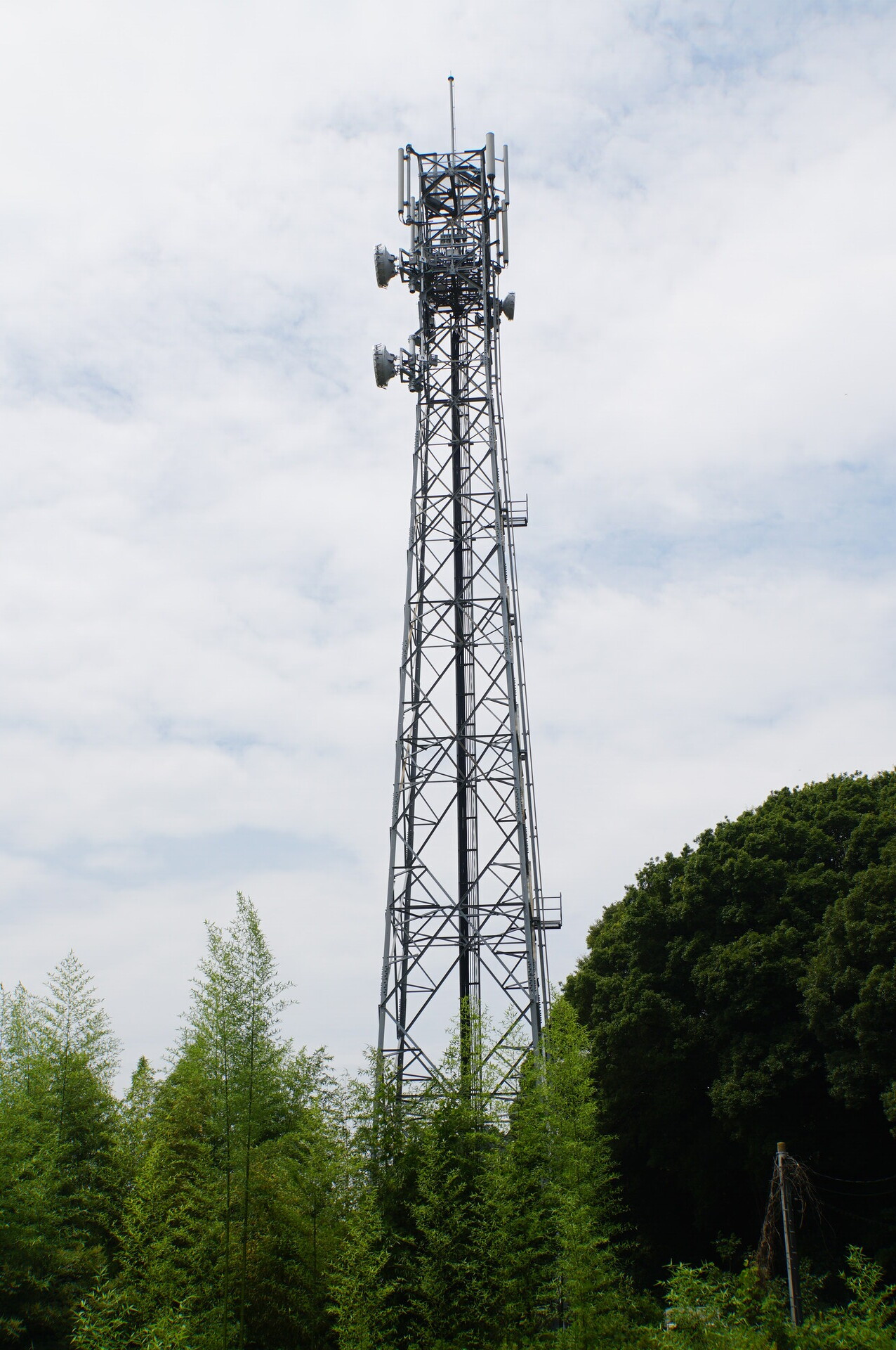 Image 41: 20260801namegata-tower-east.jpg