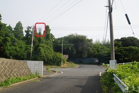 Image 15: 20260809iki-kuzumi-kosaten.jpg