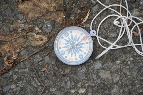 Image 71: 20260809nagara-compass.jpg
