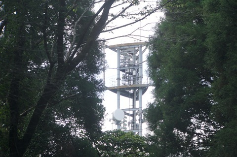 Image 52: 20260809nagara-tower-h2.jpg