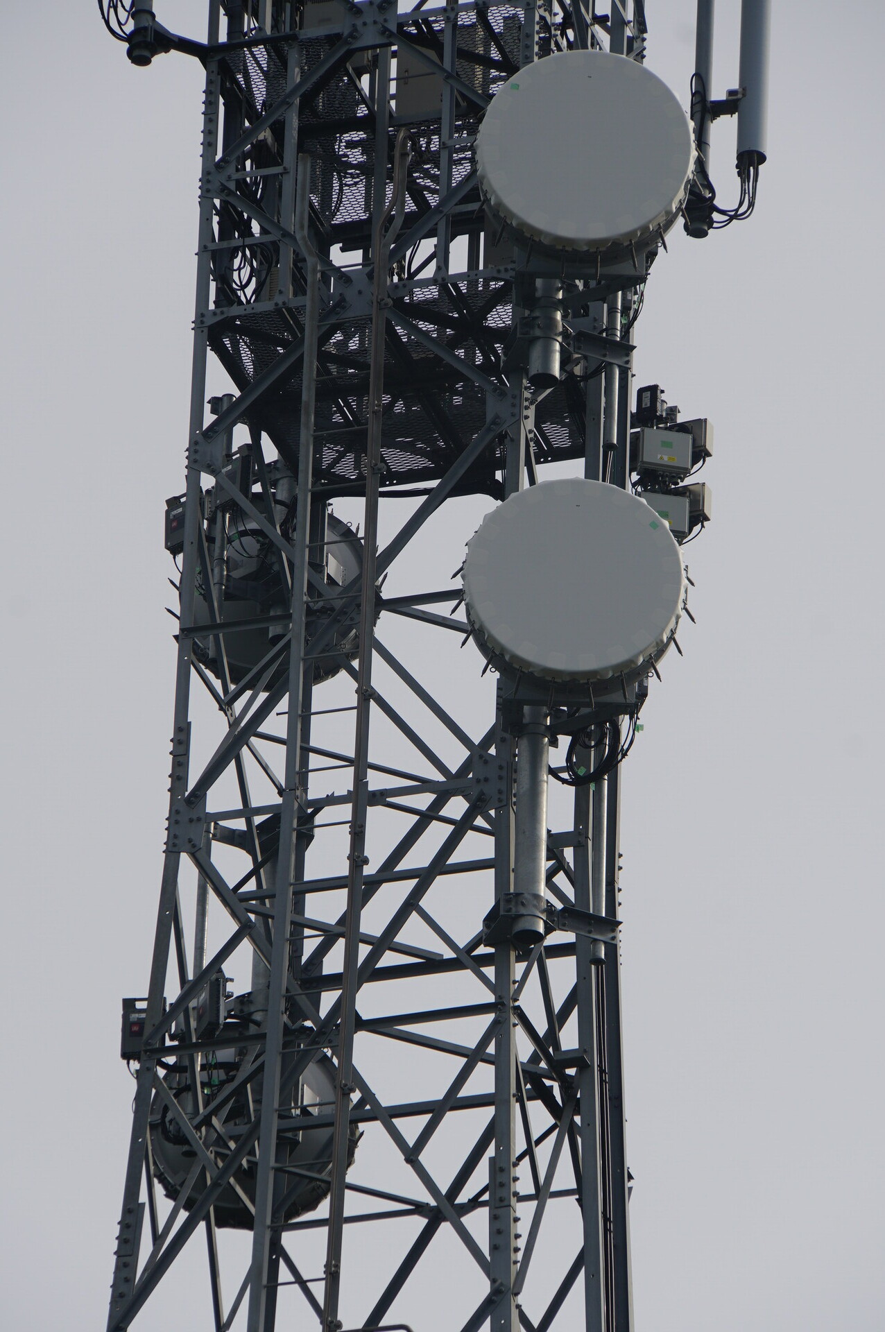 Image 28: 20260809narita-direction-ssw.jpg