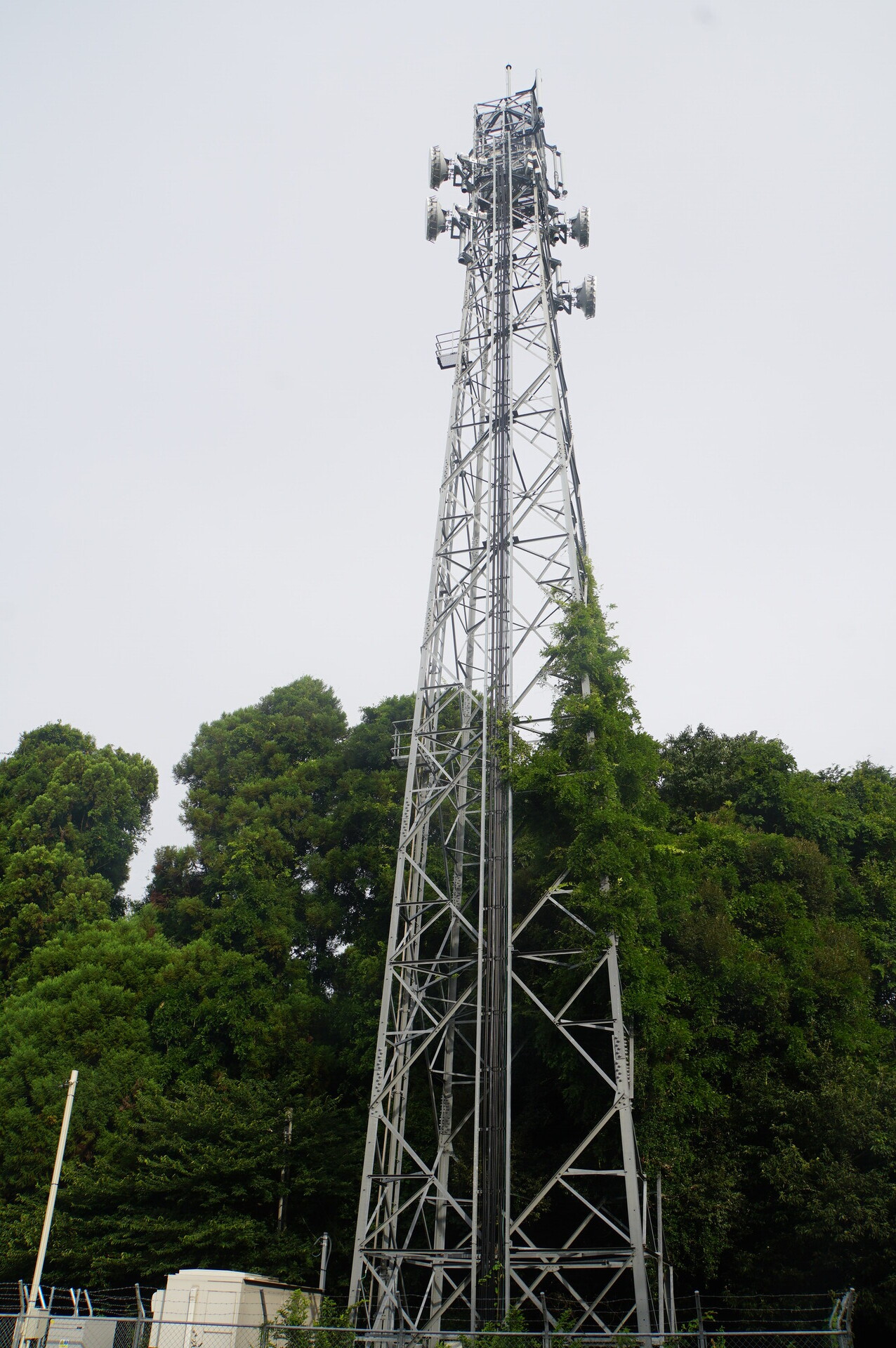 Image 16: 20260809narita-tower-east.jpg