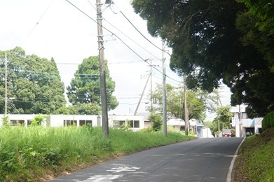 Image 37: 20260809tensen-yamanogo.jpg