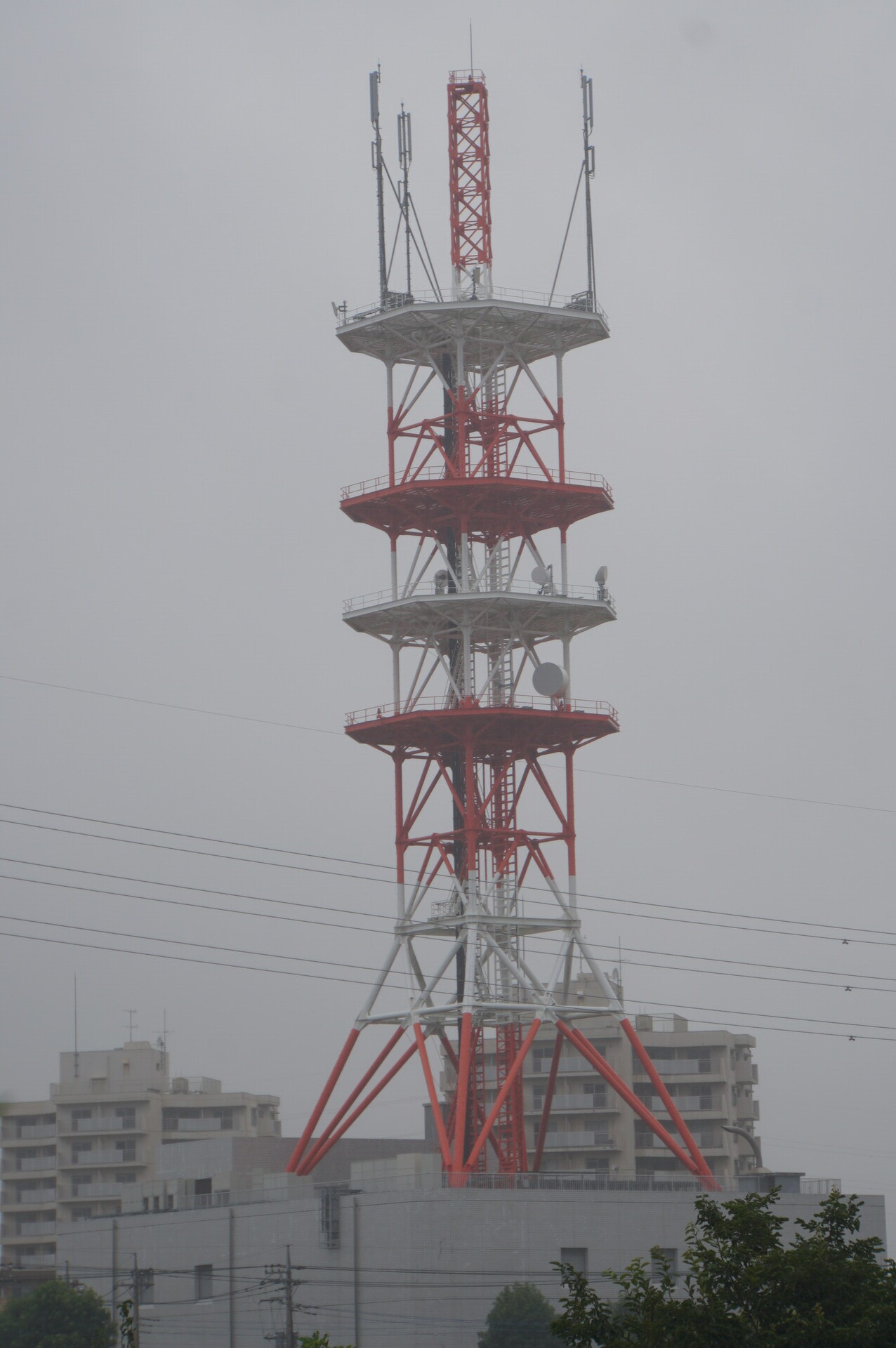 Image 12: 20260816ntt-view-fm-south.jpg