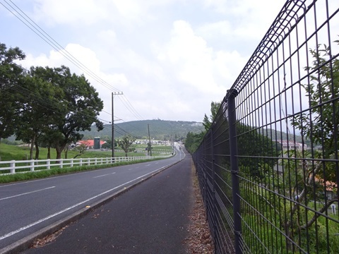 Image 47: 20260823motherfarm-kanozan-view1.jpg