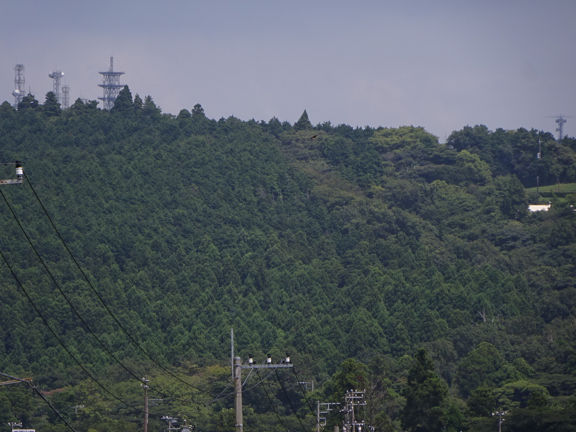 Image 48: 20260823motherfarm-kanozan-view2.jpg