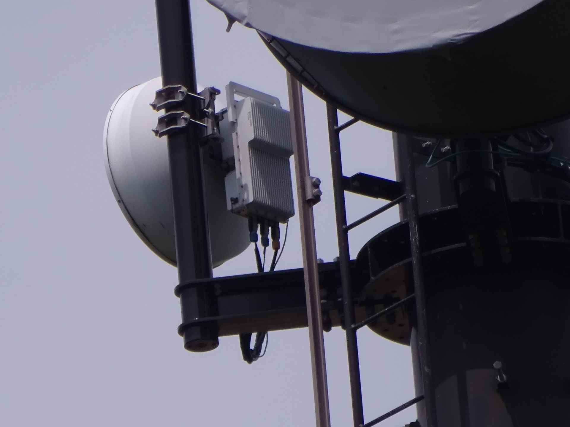The small E-band dish and radio at Mother Farm West, facing Tower/Sora’s JS2SB site at Kokubo.