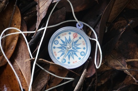 Image 26: 20260823tower-compass-east-upper.jpg