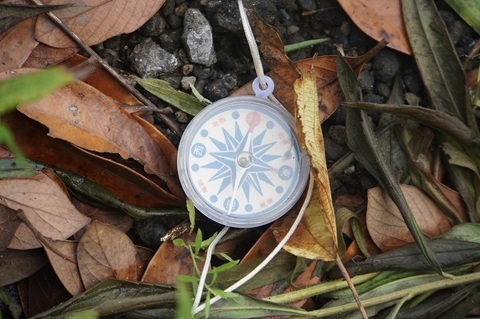 Image 22: 20260823tower-compass-east.jpg
