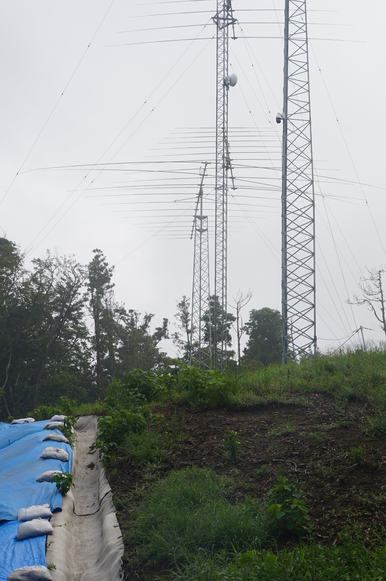 Image 16: 20260823tower-east-upper-jiritsu.jpg