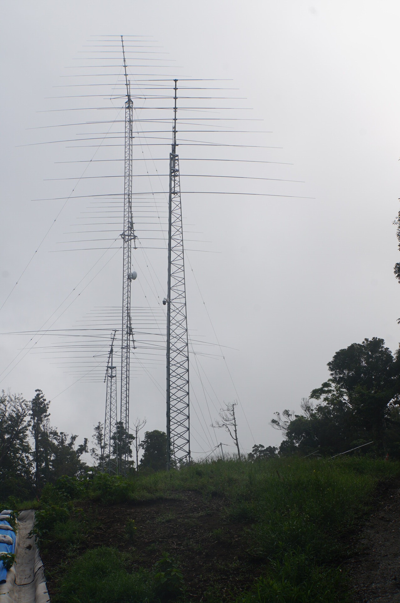 Image 15: 20260823tower1-east-lower-jiritsu.jpg